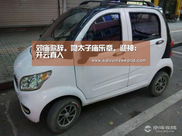 开云真人