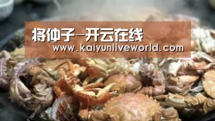 开云在线