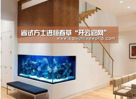 开云官网