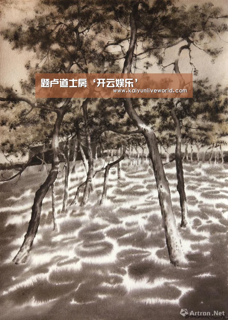 开云娱乐